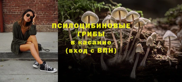 mdpv Арсеньев