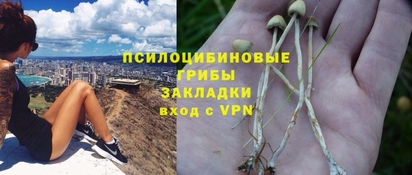 прущая мука Аркадак