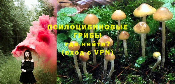 mdpv Арсеньев