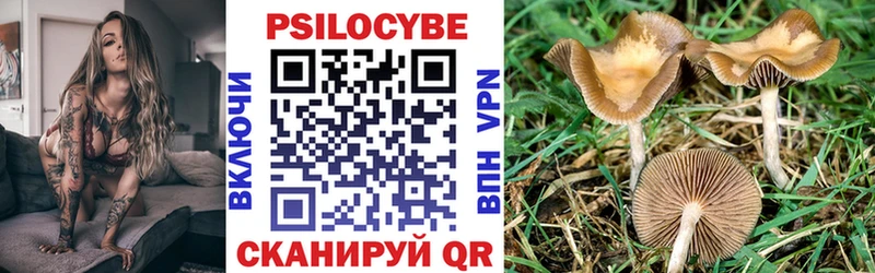 Галлюциногенные грибы прущие грибы  Аксай 